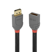 Lindy 36495 DisplayPort-Kabel 0,5 m Schwarz