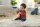 Fisher-Price HBP41 Baby Erlebnisdecke & Spielmatte Mehrfarbig Baby-Turnhalle